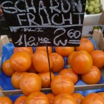 Sharon