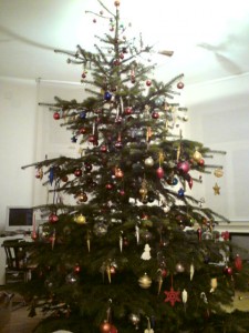Baum.