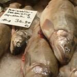 Frische Süßwasser-Zucht-Fische