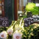 Puntarelle