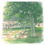 Kunsthallencafe Liegewiese vorher...