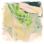 hausgemachte Zirtonen-Ingwer Limonade