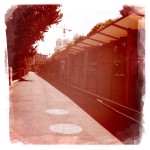 summerstage, die Lokalzeile