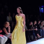 Michel Mayer Show