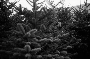 Foto © Dennis Iwaskiewicz
