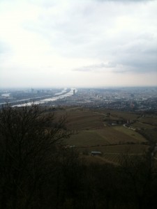 Blick vom Kahlenberg auf die Donauinsel