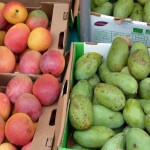 2erlei-mango