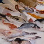 fisch