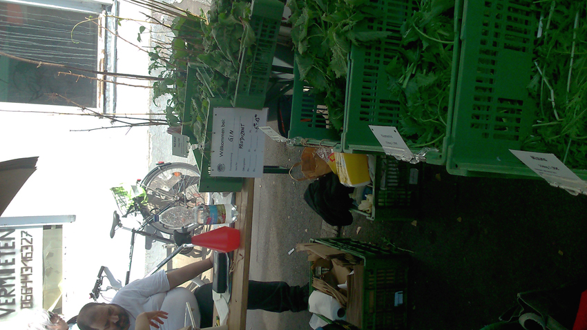 GIN auf dem Yppenmarkt - kekinwien.at