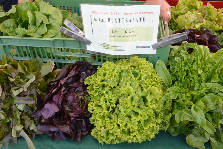 Helene Ziniel, auf dem Markt im Juni - kekinwien.at