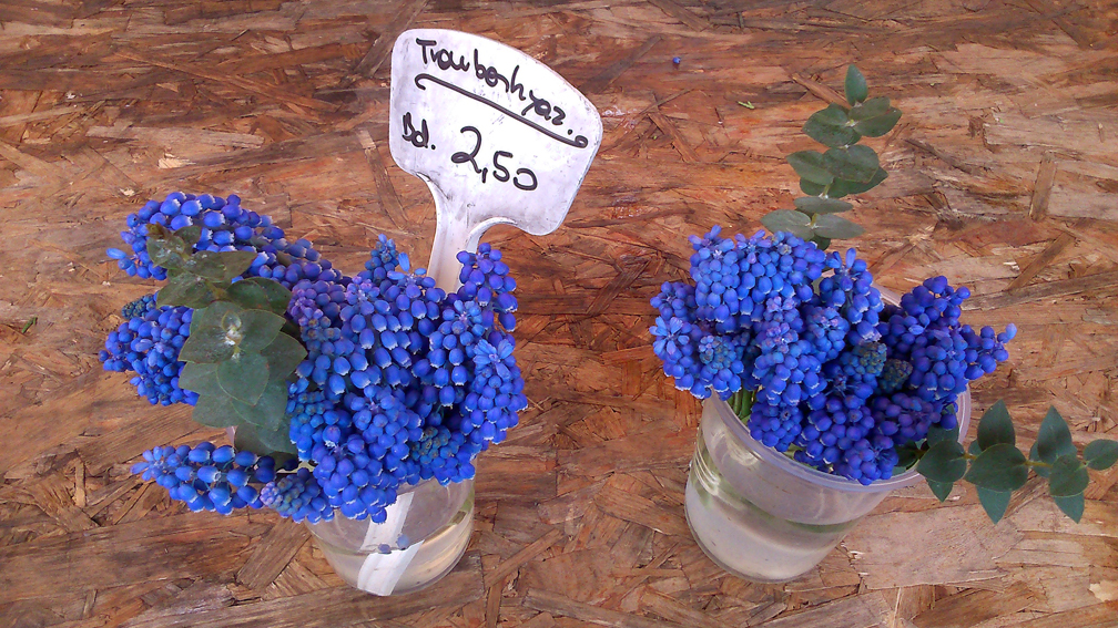 Frühling auf dem Markt im April, Foto (c) Mischa Reska - kekinwien.at