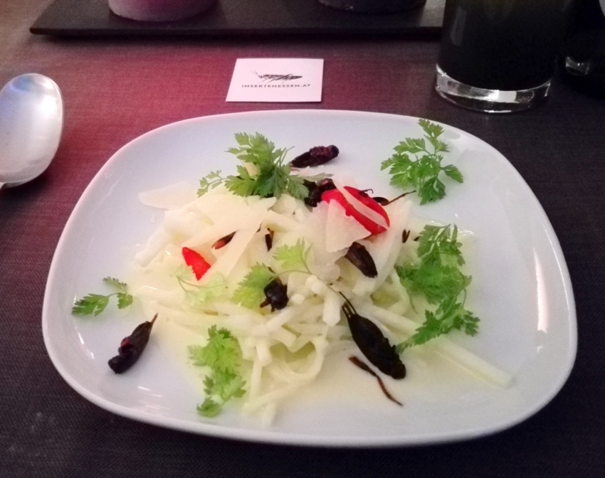 Zweifleckgrille, Kohlrabi, frischer Kerbel - kekinwien.at Zweifleckgrille, Kohlrabi, frischer Kerbel - kekinwien.at