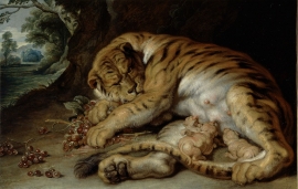 Peter Paul Rubens (Werkstatt), Säugende Tigerin, Öl auf Leinwand © Gemäldegalerie der Akademie der bildenden Künste Wien