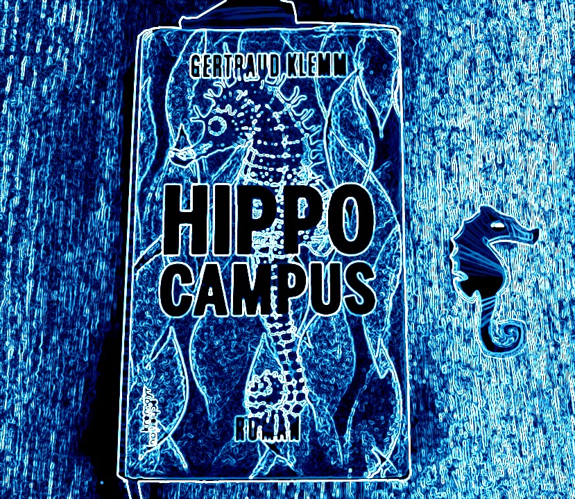 Hippocampus, ein Roman von Gertraud Klemm, Collage (c) Alexandra Wögerbauer-Flicker - kekinwien.at Hippocampus, ein Roman von Gertraud Klemm, Collage (c) Alexandra Wögerbauer-Flicker - kekinwien.at